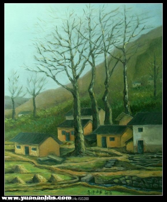 茅坪汤家的大树