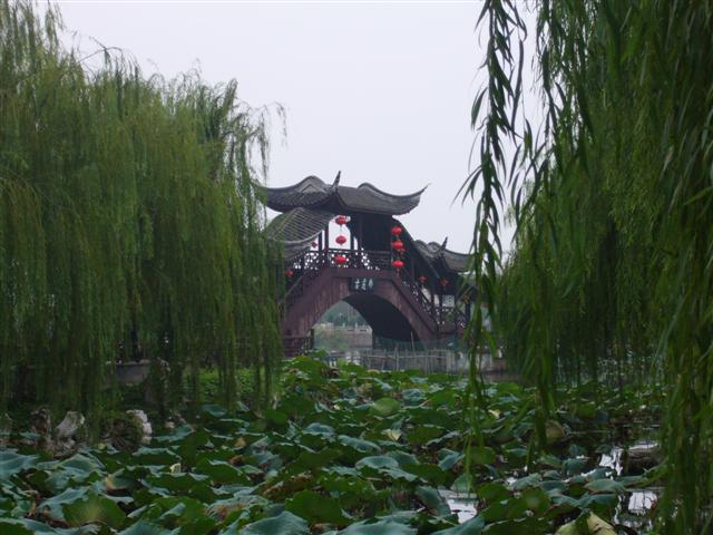 P1000458 (Small).JPG