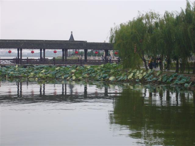 P1000461 (Small).JPG