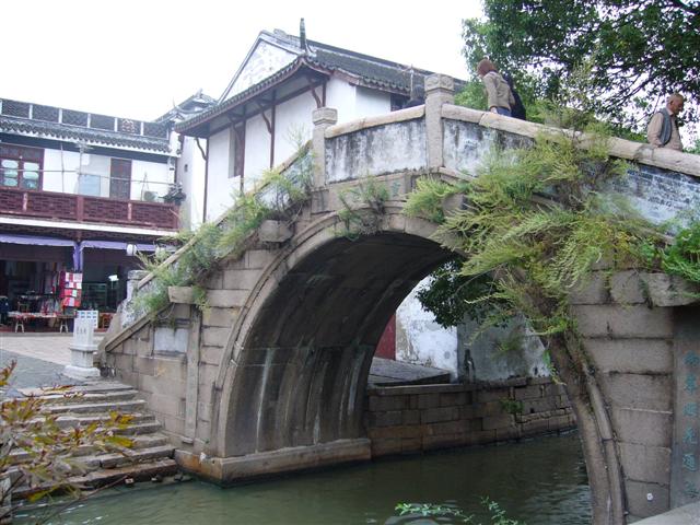 P1000482 (Small).JPG