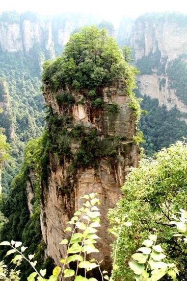 《阿凡达》中的哈利路亚山