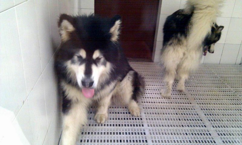 这是我家两口子