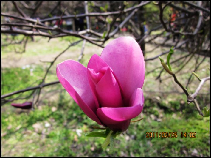 http_imgload (14).jpg