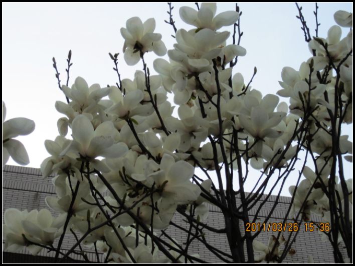 http_imgload (15).jpg