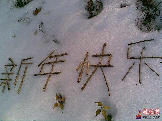 预祝各位坛友们新年快乐！