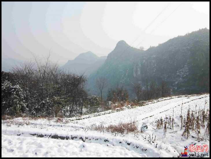 复件 IMG_0566_conew1.jpg