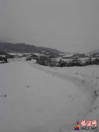 2012-01-23 15.30.51.jpg