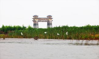 鸥鸟翔集 (1).JPG