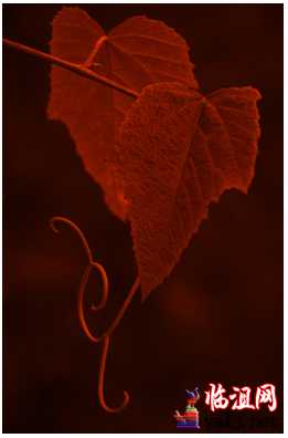 未标题-1 拷贝.jpg