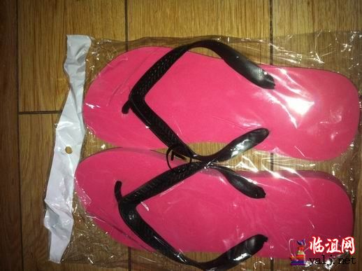 调整大小 照片 001.jpg