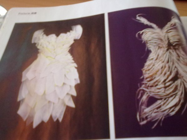 201301301180.jpg
