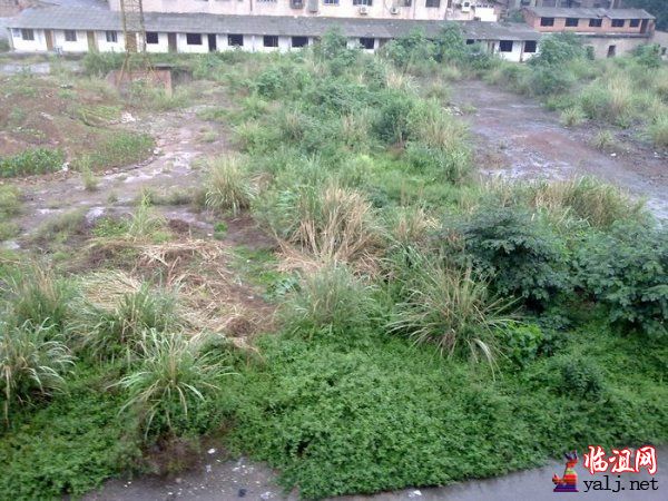 图片收藏 010.jpg