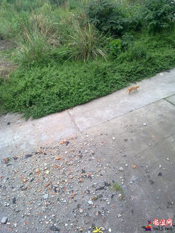 图片收藏 073.jpg