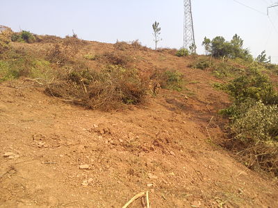 被强推的山林。。。