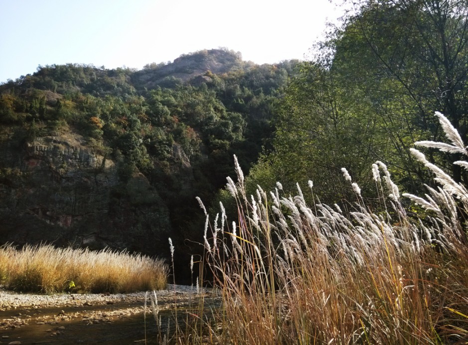 一年好景君须知