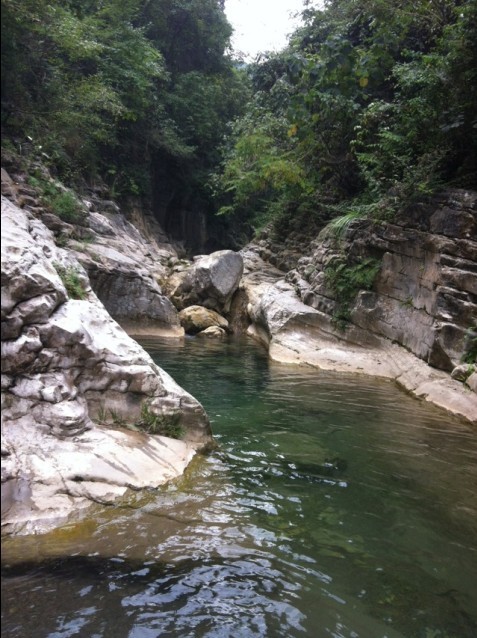 棚镇大柳树塘沟