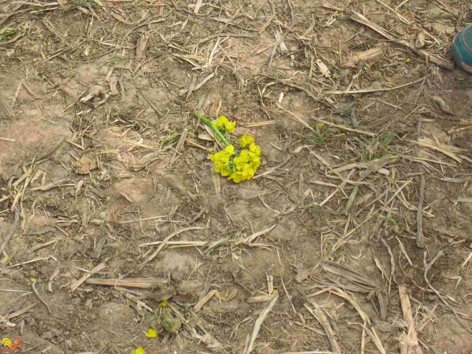 0000000000000000000 (2).jpg