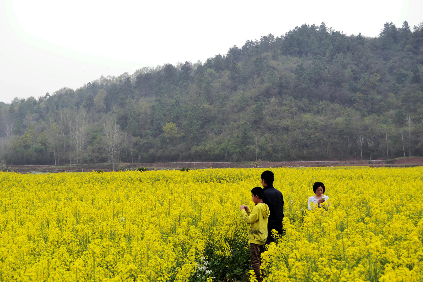 美丽远安行20140330 (47).jpg