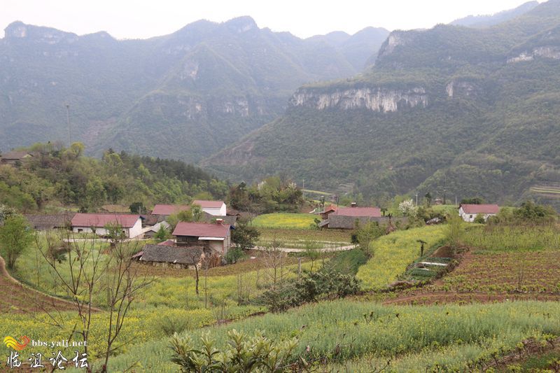 景美如画，情深似海