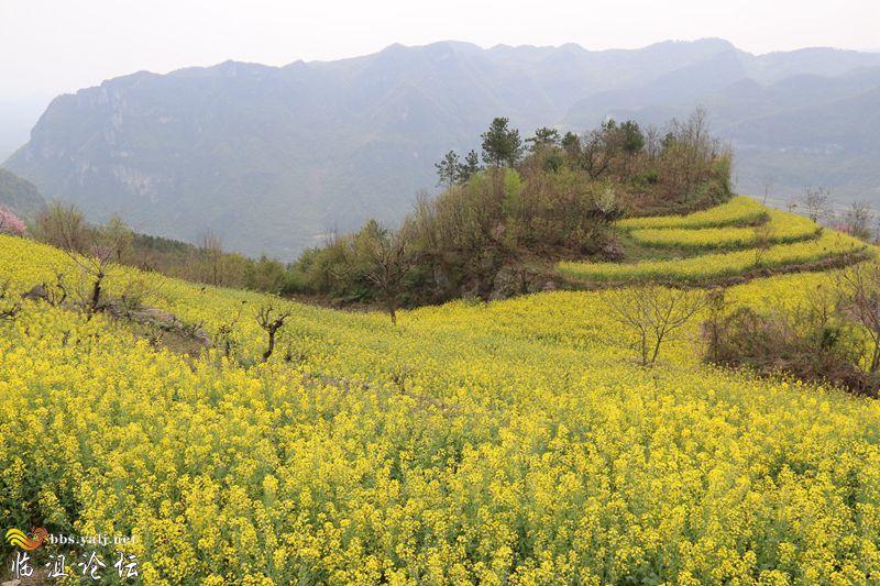 宝华·即是一幅画，又是一首诗