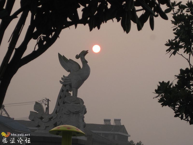 一、栖凤公园随拍