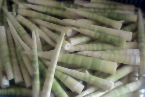 纯正的绿色食品