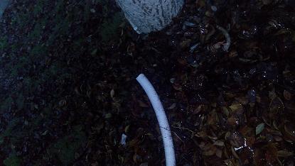 2014421063534 (1).jpg