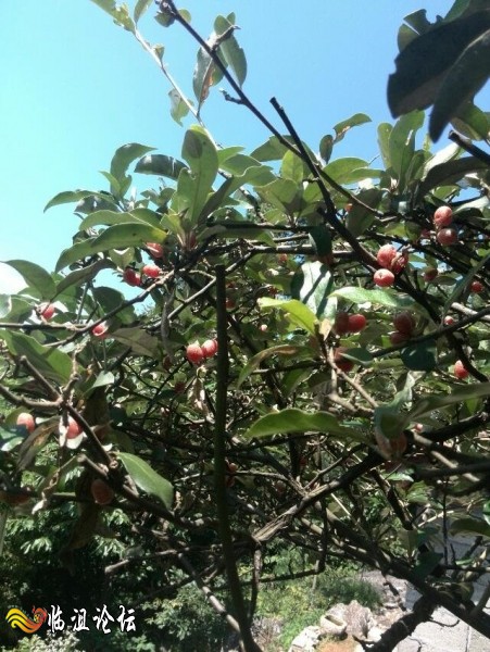 看到这有没有想到你小时候