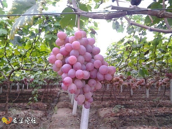 2014-08-31 18.21.09.jpg