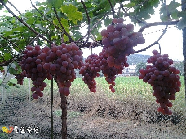 2014-08-31 18.21.54.jpg