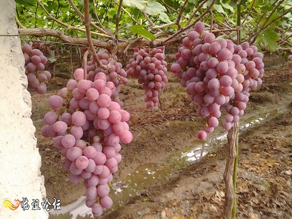 2014-08-31 18.22.44.jpg