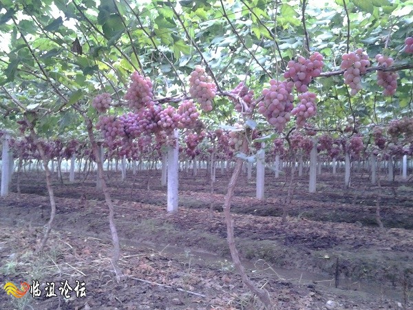 2014-08-31 18.23.22.jpg