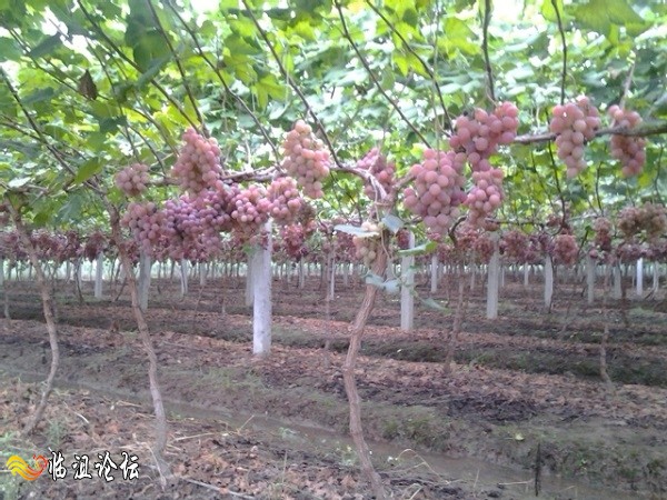 2014-08-31 18.24.44.jpg