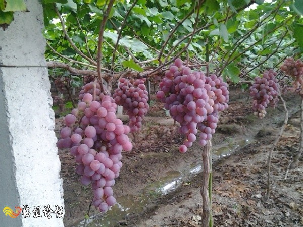 2014-08-31 18.25.04.jpg