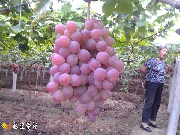 2014-08-31 18.25.31.jpg