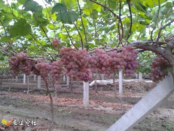 2014-08-31 18.26.53.jpg