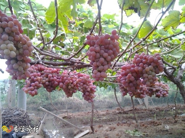 2014-08-31 18.28.26.jpg