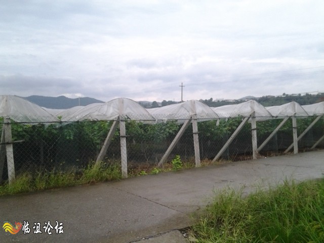 2014-08-31 18.30.31.jpg