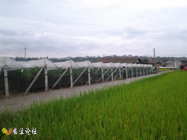 2014-08-31 18.30.48.jpg