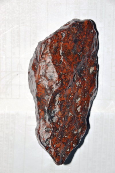 照片 010_副本.jpg