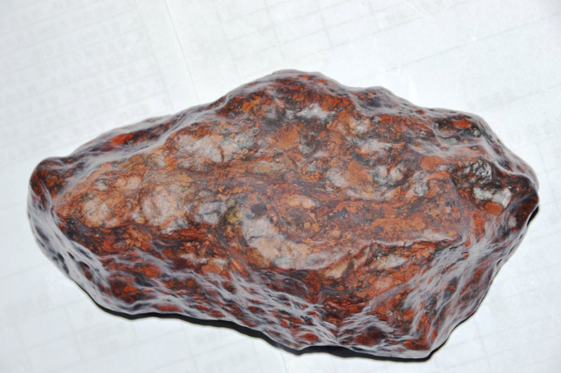 照片 007_副本.jpg