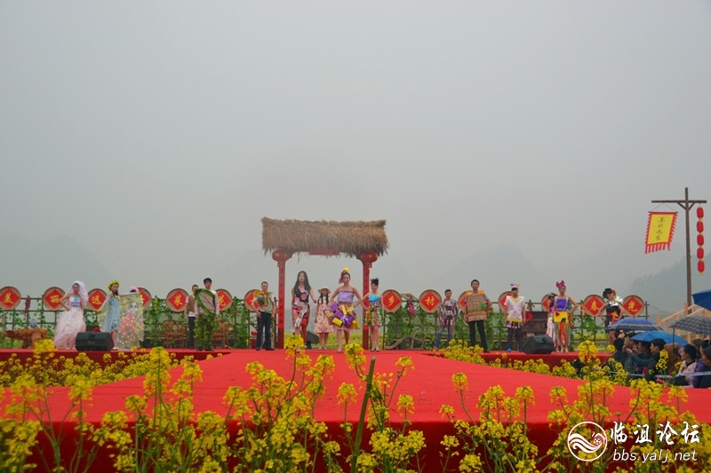 20150315油菜花节 10.jpg