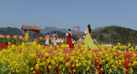 油菜花开之花中仙子