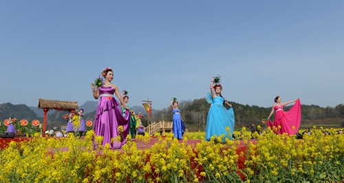 油菜花开之花中云裳