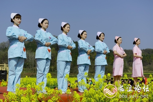 油菜花开之南丁格尔