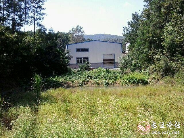 厂房原来是水田