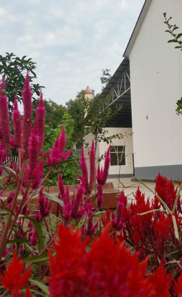 房子旁边有一块大菜园，我自己种种花花草草或者小菜。