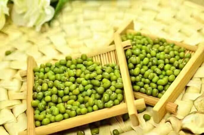 绿豆