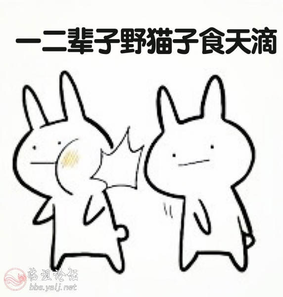 一二辈子野猫子食天 .jpg