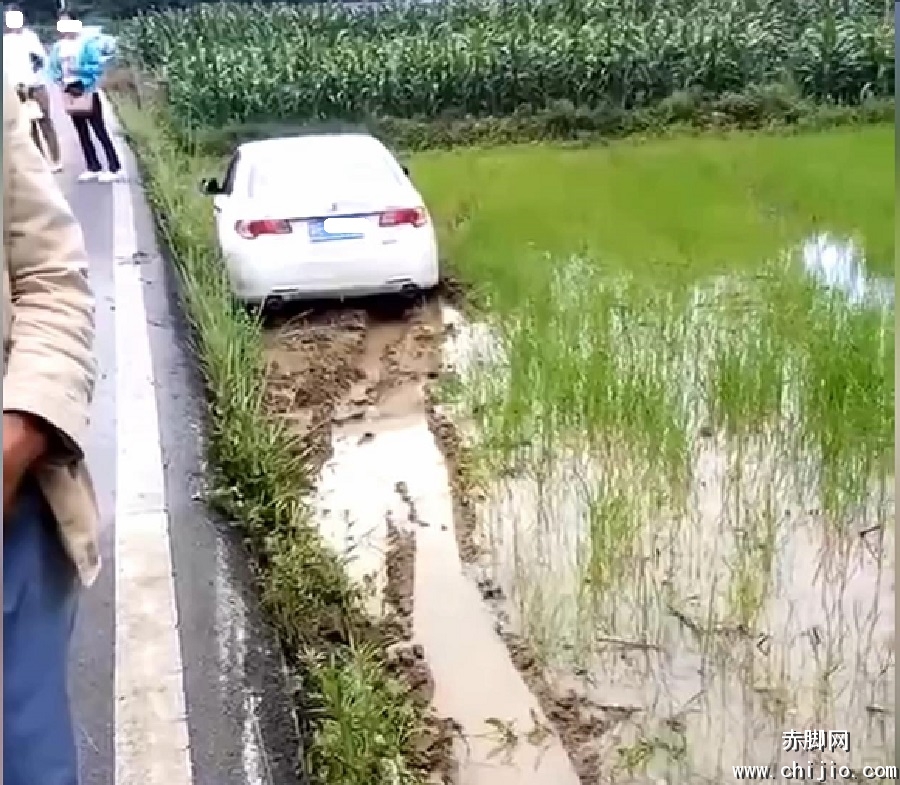 金家湾附近路段小车失控开进稻田_20190618112649.JPG